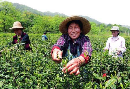 安徽六安：选准脱贫攻坚突破口