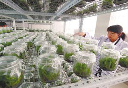 生物医药和大健康产业成为云南省支柱产业