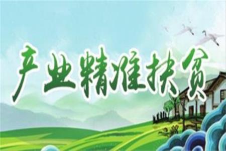 国家政策性扶贫基金“输血”变“造血” 贫困县咋长出扶贫产业