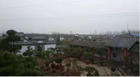 有了江北润松园 何必再去下江南