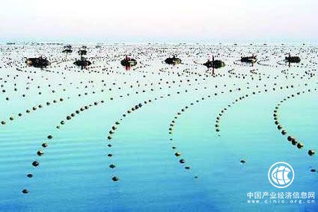多方协同推进，我国海洋产业集聚发展格局初步显现