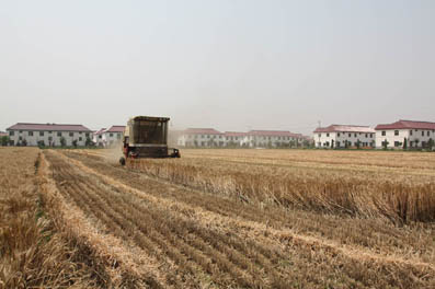 内蒙古深化改革提高土地利用效率