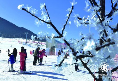 我国冰雪旅游收入预计五年内达6700亿