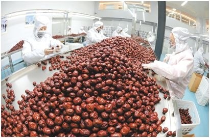 深度贫困县阜平：红枣深加工要让生活