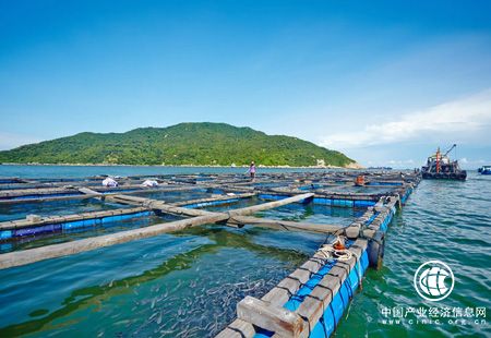 2020年我国海洋生产总值预期达到10万亿元