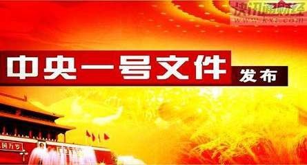 2018年中央一号文件公布 全面部署实施乡村振兴战略