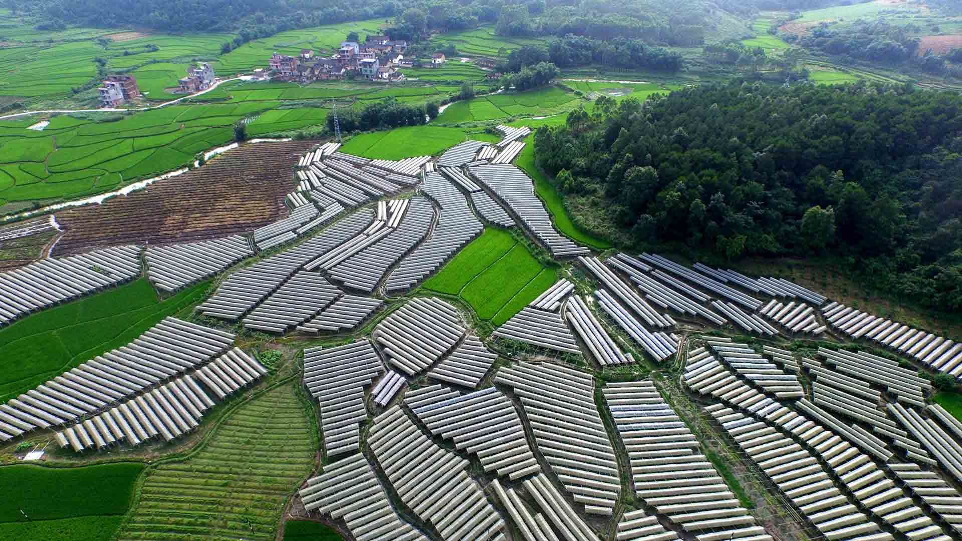 深度贫困地区咋脱贫？国务院扶贫办主任这样答