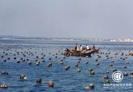 加快动能转换 壮大海洋经济