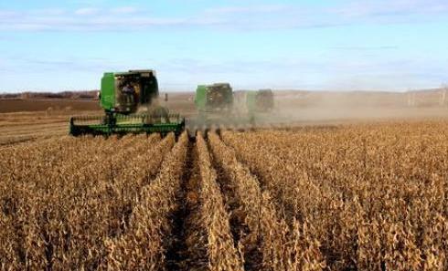 前4月大豆进口量减少3.8%猪肉会涨价吗？