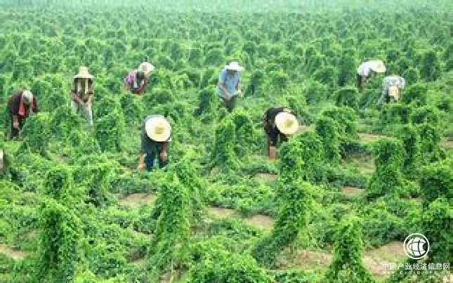 生态原产地产品保护推动乡村振兴