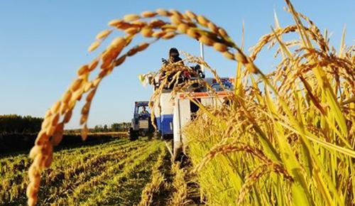 让农民用上放心农资 山西79家企业入选省农资保供重点企业名单