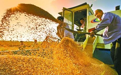 我国粮食生产实现“十七连丰”