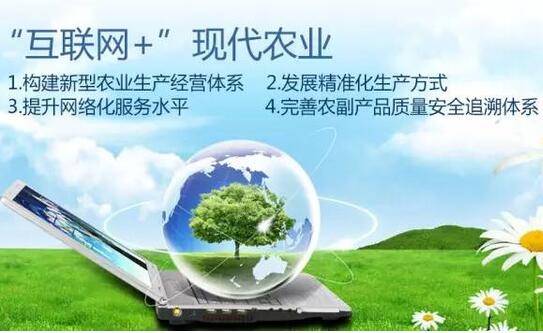 互联网+农业：让农产品“出村” 让信息“进村”