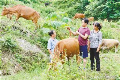 爱心企业创新精准帮扶 技术指导助力农村脱贫