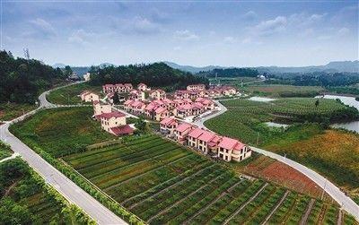 四川省巴中市恩阳区“三大国土项目”全覆盖 脱贫动力足