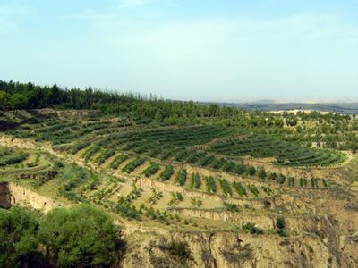 云南省蒙自市引进新型农业带动退耕农户脱贫致富