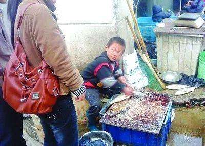 网红“杀鱼弟”悲剧映射了家庭教育的痛点