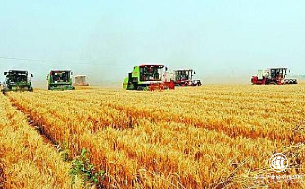 河南粮食总产连续8年稳定在1300亿斤以上