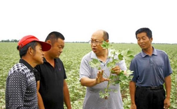 科技部：科技特派员科技服务明年将覆盖10万个贫困村