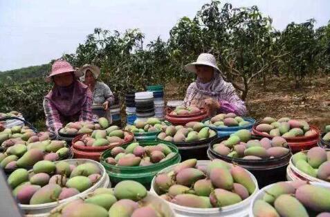 五个“十万亩”筑牢富民根基