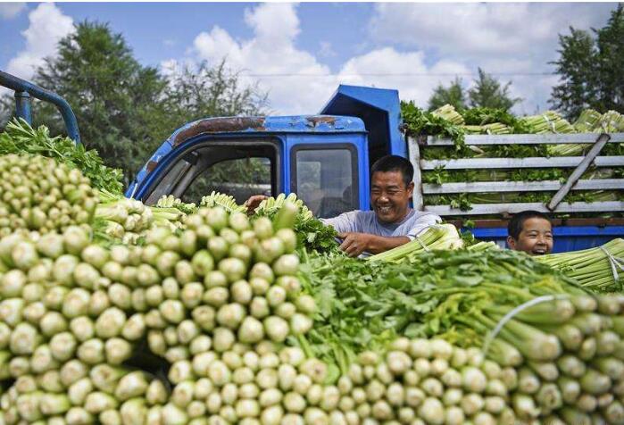 中国扶贫的西海固答卷——宁夏奋进60年巡礼之脱贫攻坚篇