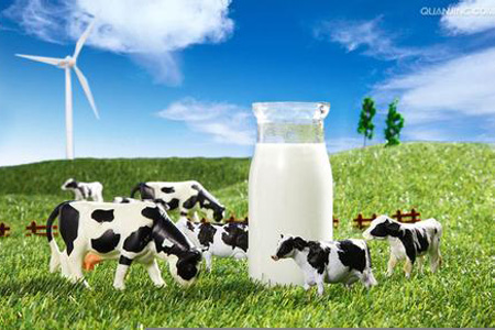 突破深加工技术 战略重构 差异化创  新乳业破局需完成三重变革