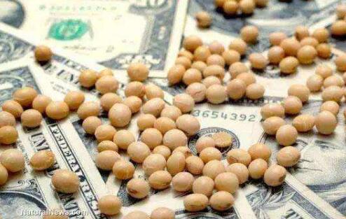 美国豆农担忧失去中国市场