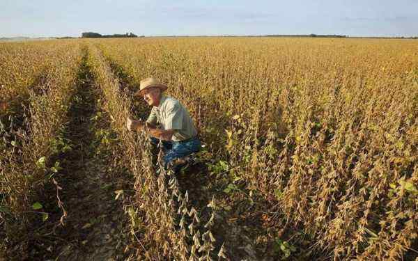 贸易摩擦令美国农场主愁眉不展