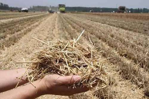 河南出台三年行动方案 推动秸秆“变废为宝”