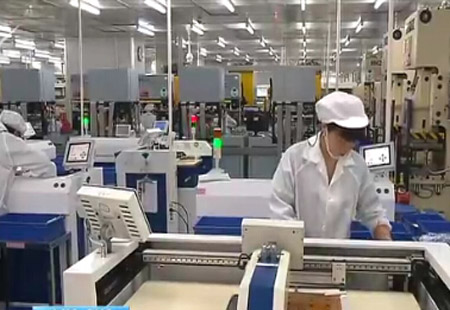 厦门市民营企业进出口连续20个季度同比增长