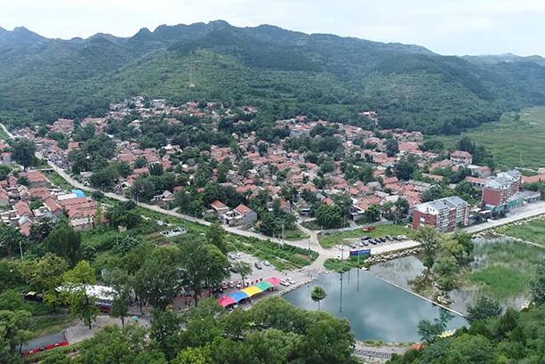 产业旺、村容美、乡风和——山东打造乡村振兴齐鲁样板观察