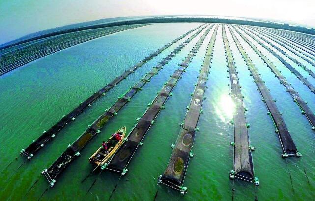 前三季度海洋生产总值达七点九万亿元 同比增长百分之五点六