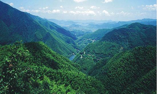 福建率先构建森林资源“全链条”监督机制