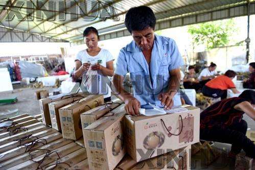 我国脱贫劳动力就业形势稳定