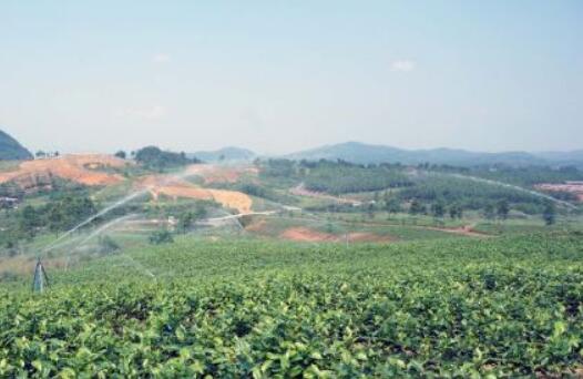 湖南今年确保全省脱贫人口务工不低于232.5万人