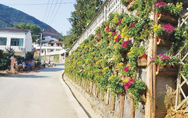 我国明确乡村建设行动路线图