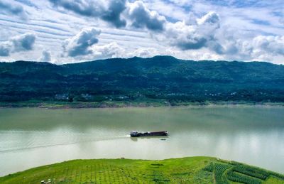长江流域水生生物多样性持续恢复