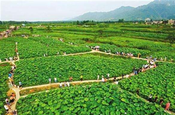 多重政策支持 绿色产业投资加力“踩油门”