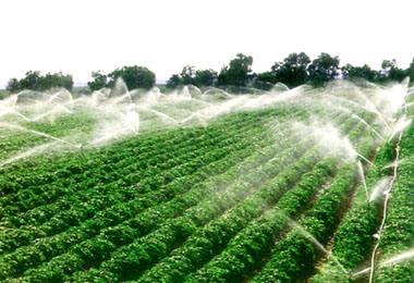 农业农村部推介第三批31个农业绿色发展典型案例