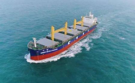 国际航运在经历波动中保持前行