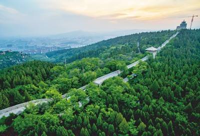 六部门：加快建设现代化国有林场