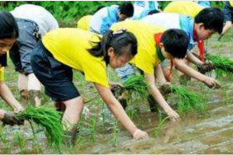 教育部：要把劳动教育作为义务教育阶段必修课