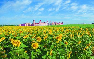 黑龙江省脱贫县农村居民生活水平稳步提升