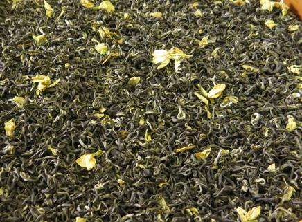 生产端、加工端、品牌端齐发力　提升茉莉花茶出口特色优势