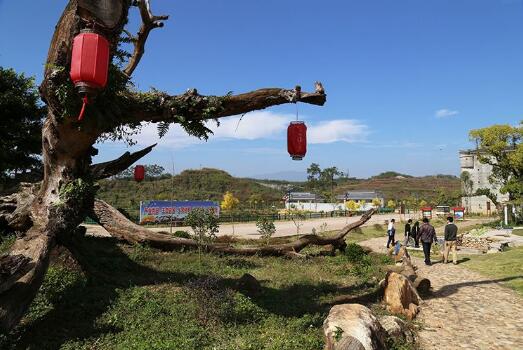 广东省逾92%相对贫困人口实现脱贫