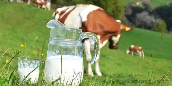 我国生鲜乳质量安全处于历史最好水平