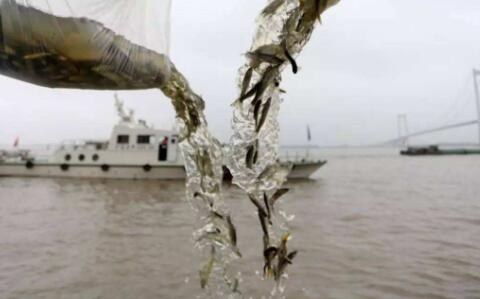 当年赤壁“借东风”如今“渔光互补”产业兴