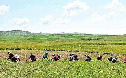 内蒙古自治区商务厅赴北京招引首店