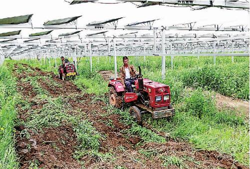发展有奔头、农民尝甜头 “攥指成拳”推进脱贫地区帮扶产业高质量发展