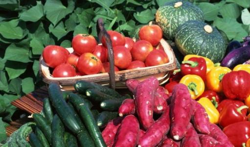 中国农产品出口有颜更有料